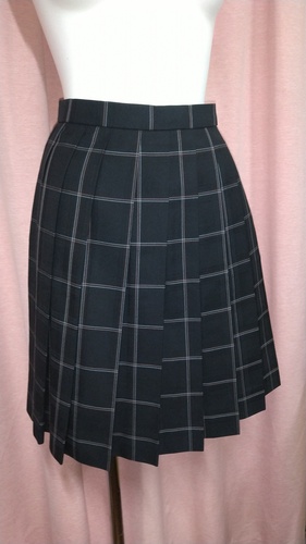 ��ʌ� ���]�w�����w�Z�����w�Z  �`�F�b�N�~�j�X�J�[�g �~����