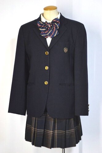  ����t���� ���̗t�����w�Z �u���U�[ �ăX�J�[�g��T5510