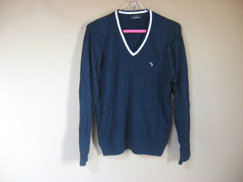 �{�錧 �������哌�k���Z�@�w�Z�w��Z�[�^�[�A�J�[�f�B�K��