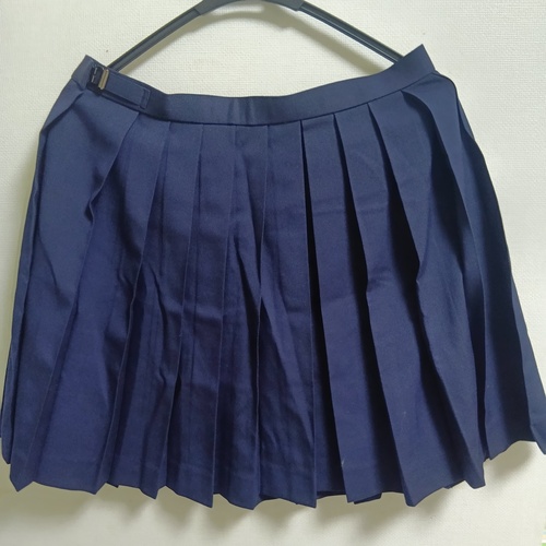 ���{ �y�傫�ȃT�C�Y�z����w�@���Z�~�ăX�J�[�g�Z�b�g �m�������݁n