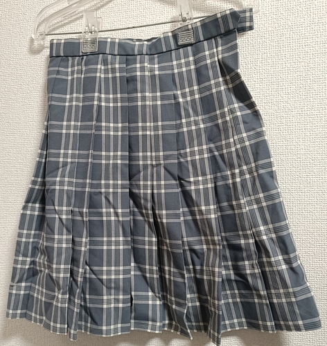 �_�ސ쌧 �_�ސ쌧�@���͏��q��w�������@�ăX�J�[�g