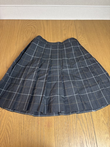 [�s��] �@����w�����@�����@�X�J�[�g�@26-0104-02