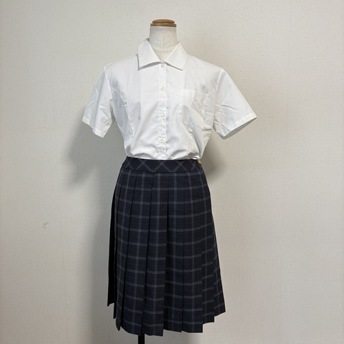 [�s��] �ySE2481�z�@���w�Z�@���Z�@�V���c�u���E�X�X�J�[�g�Z�b�g�@W69��56�@