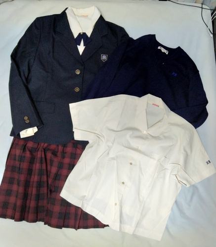 ���Ɍ� �y����T�C�Y�z���Ɍ����_�ƍ��Z�@�u���U�[EL �u���E�X3L �X�J�[�gW75