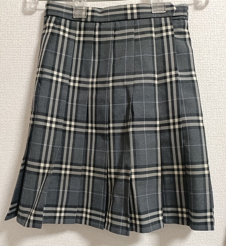 �_�ސ쌧 �_�ސ쌧���@���򑍍����Z�@�~�X�J�[�g