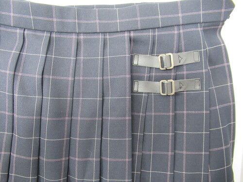 ������ 7771�@620�@�傫�ȃT�C�Y�I�����_�ƍ��Z �~�X�J�[�g ��+�O���[�{�s���N �`�F�b�N��