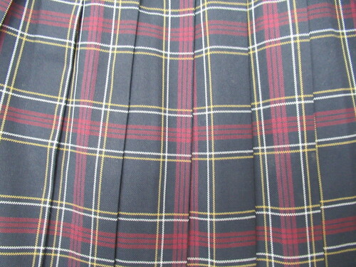 [�s��] 7782�@470�@�傫�ȃT�C�Y�I�~�X�J�[�g SCHOOLTIGER�� ���{�ԁ{�� �`�F�b�N��