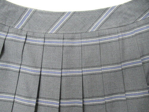 ���{ 7806�@380�@�֐������Ȋw��w���Z �ăX�J�[�g �O���[�{�� �{�[�_�[