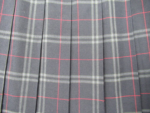 [�s��] 7824�@410�@�ăX�J�[�g FRIENDSHIP ���{�O���[�{�� �`�F�b�N��