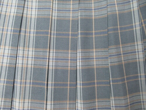 [�s��] 7825�@420�@�傫�ȃT�C�Y�I�ăX�J�[�g FRIENDSHIP ��+�O���[�{���y�F �`�F�b�N��