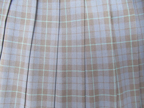 [�s��] 7830�@330�@�ăX�J�[�g SCHOOLTIGER�� �n�{���{�� �`�F�b�N��