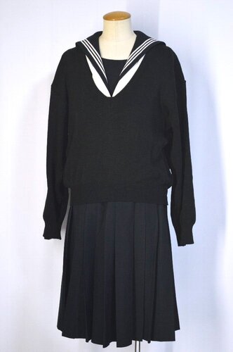  �������s �x�m�����w�Z �Z�[���[�~�� �i�J�m��T5557