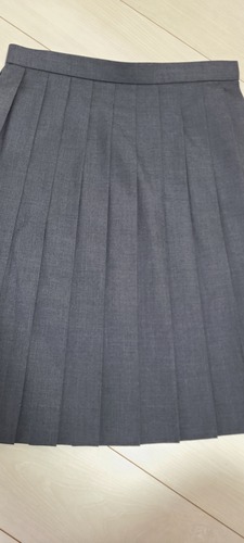 �Ȗ،� ������卂�Z�O���[�v���[�c�X�J�[�g�I�I