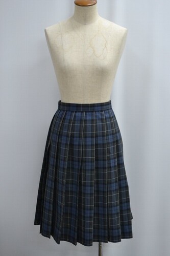  �Z��size ��t���� ��c���������w�Z �� �ăX�J�[�g ����6083