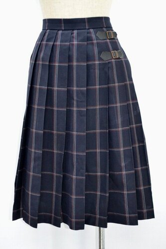  ����Size �����s ���{�̈��w�`�������w�@ �ăX�J�[�g ��NA0604