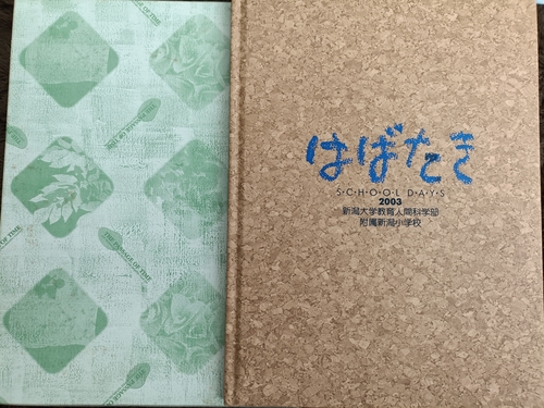 �V���� 2003�N�@�V����w����w�������V�����w�Z���ƃA���o��