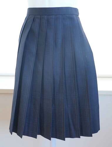  �����Ɍ� ���m��w�����P�H���Z �ĕ��X�J�[�g�����i�T�C�YS) ���q�������Ɛ��̕ۊǕi