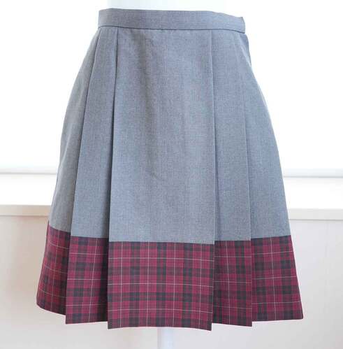  ���_�ސ쌧 �k���q���q�w�����w�Z �ĕ��X�J�[�g�iw63) ���q�������Ɛ��̕ۊǕi