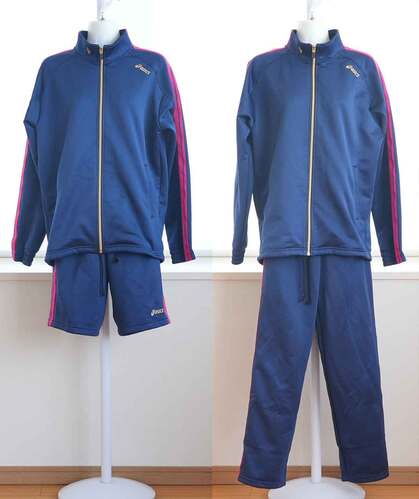  ���_�ސ쌧 �k���q���q�w�����w�Z �W���[�W3�_�i�T�C�Y) ���q�������Ɛ��̕ۊǕi