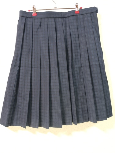 ������ �����s�W�����@�ăX�J�[�g[007767]