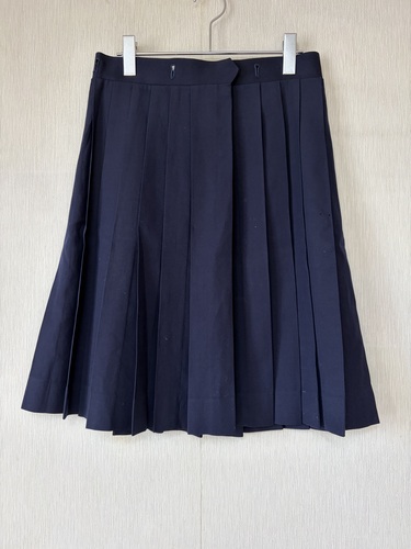  �s���@�~�X�J�[�g�@�@�����������@�@�@3103