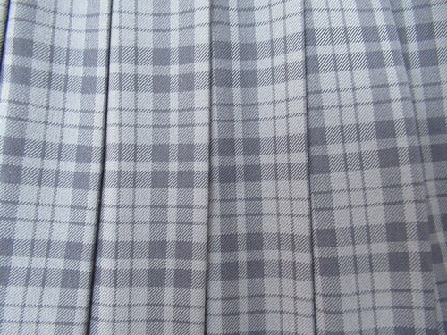 ������ 7931�@580�@�傫�ȃT�C�Y�I�O�����w �~�X�J�[�g ���{�O���[ �`�F�b�N��