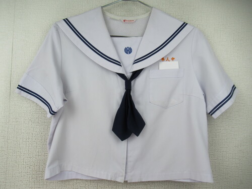 �������� 7996�@230�@���l���w �ăZ�[���[�㒅 ���^�C�t �O�z�b�N