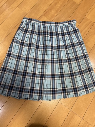 [�ʐM��] ���m�@�N���[�N�L�O���ۍ����w�Z�@�ăX�J�[�g