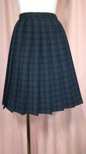 [�s��] (No.79)  �`�F�b�N�X�J�[�g �s���~����      