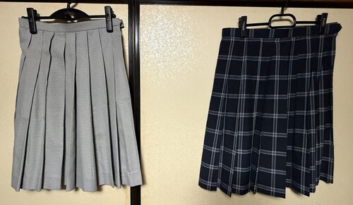 [�s��] �X�J�[�g�Q���@