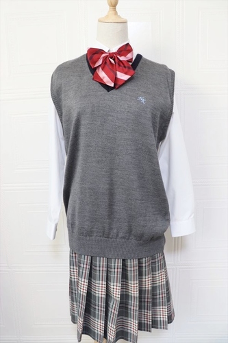 ��t�� ���� ��c���c�w��������C�w�Z ���� �ĕ��X�J�[�g �x�X�g �k�k�T�C�Y �x�l�g��