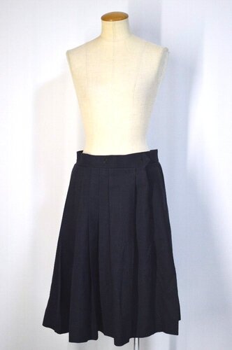  ����size �_�ސ쌧 �t�F���X���w�@���w�Z�E�����w�Z �~�v���[�c�X�J�[�g��T5575