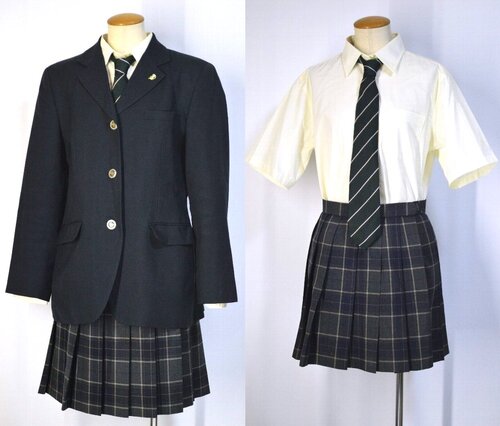  ���_�ސ쌧�� ���k�����w�Z �u���U�[�~�ĕ� �l�N�^�C �Z�́�T5579