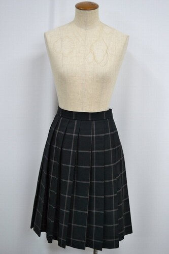  �Z��size W77 ��ʌ� ���]�w�����w �����w�Z �~�X�J�[�g ����6099