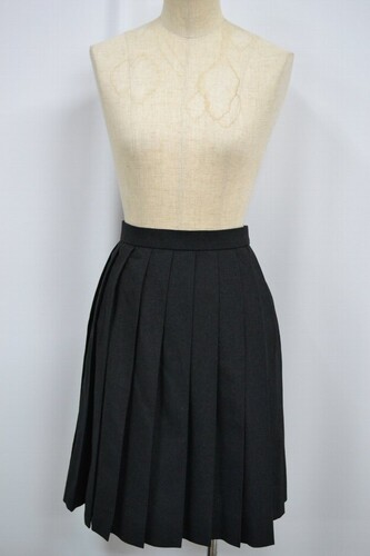  �Z�����s ���o�w�����w �����w�Z �ăX�J�[�g ����6101