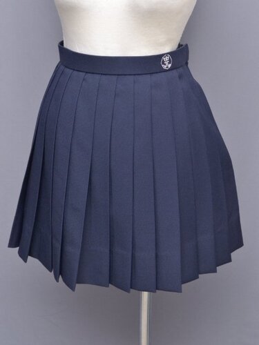 ���ꌧ ��ksk-5693 �������X�J�[�g�i�~��앛���j��