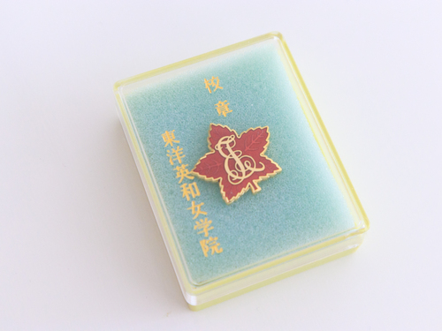 �����s �y�V�i�z���m�p�a���w�@���w�Z�����w�Z�i�V�^���S�s�����j�Z�� �J�� �o�b�W