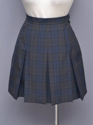 [�s��] ��tsk-5466 �����`�F�b�N�X�J�[�g�i�ĕ��j��