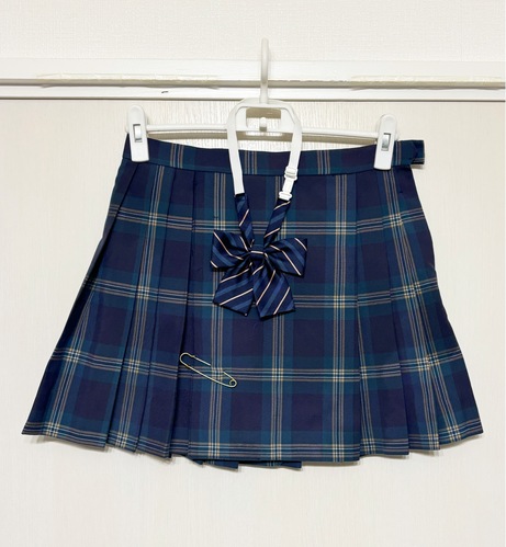 �_�ސ쌧 �_�ސ쌧�����l���ˍ����w�Z �~�X�J�[�g�@���{���@�Z�b�g �w��i ���K�i �u��306�v