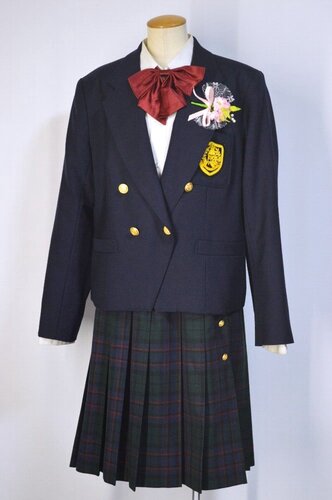  ����size �����s �ߐ썂���w�Z �u���U�[�~�� ��size�X�J�[�g ���L�R�n�i�C��T5612