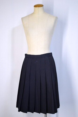  ���傫�� �����s �R�w�@������ �ăX�J�[�g��T5602