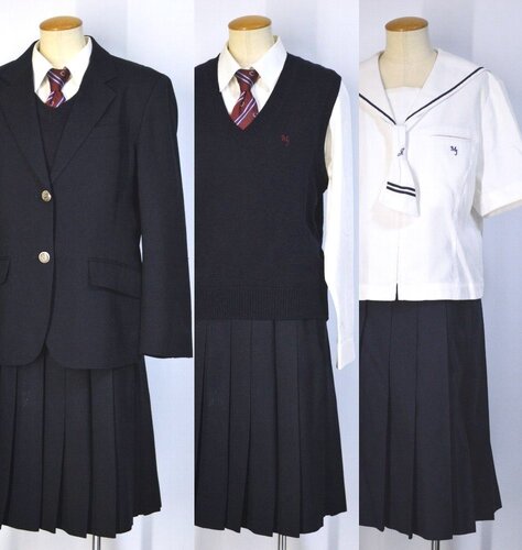  �������s �����쏗�q�w�@���w�Z�E�����w�Z �~�Đ��� �l�N�^�C ��size�X�J�[�g �O�J����T5611