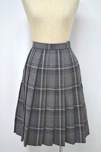  �Z��t�� ���ʌo�ϑ�w�����������w�Z �ăX�J�[�g ��&1174