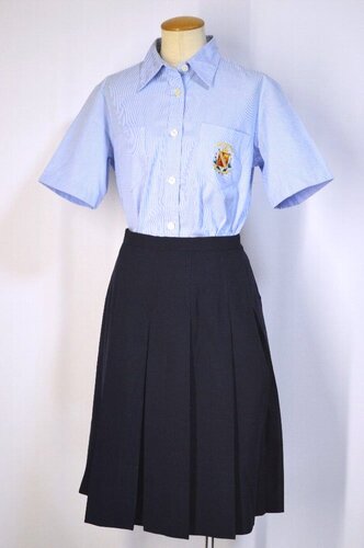  ���_�ސ쌧 ���l�ԗt���w�Z�E�����w�Z �ĕ���T5606