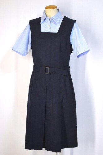  ���_�ސ쌧 ���l�ԗt���w�Z�E�����w�Z �ĕ� �W�����p�[�X�J�[�g��T5609