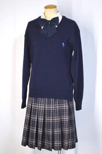  ���_�ސ쌧 ���͏��q��w������ �~�� ���{����T5576