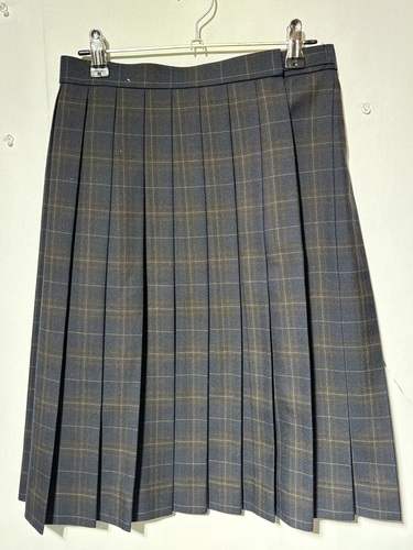  6441r �����s �_�ސ쌧 �s�� ���q���� ���w ���Z �v���[�c�X�J�[�g W66 �g���{��