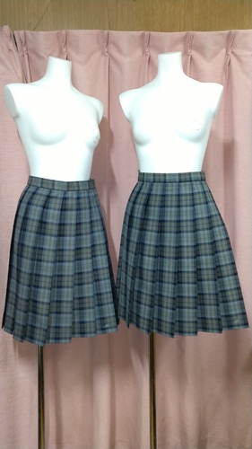 ��t�� ���ˎs�� ���ˍ����w�Z �}�[�N���� �`�F�b�N�~�j�X�J�[�g �ĕ��~����     82