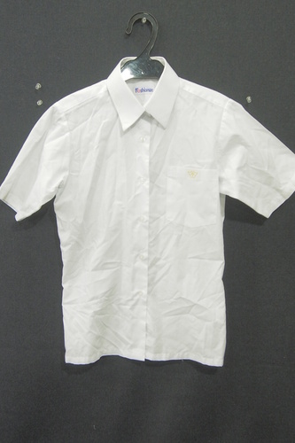  6455k �֓����� �s�� ���q�p �ĕ� ���� �w��u���E�X �T�C�Y150 ���q����