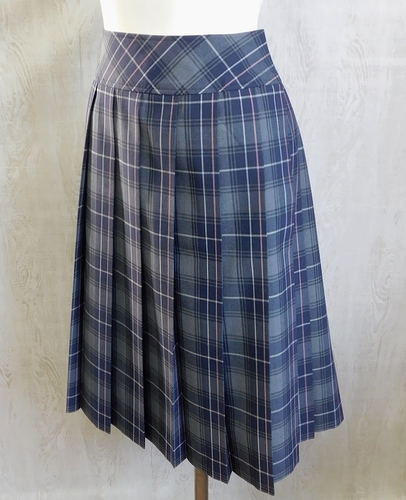  ���������y�P�i�z�������q���z���Z �a�����ăX�J�[�g��